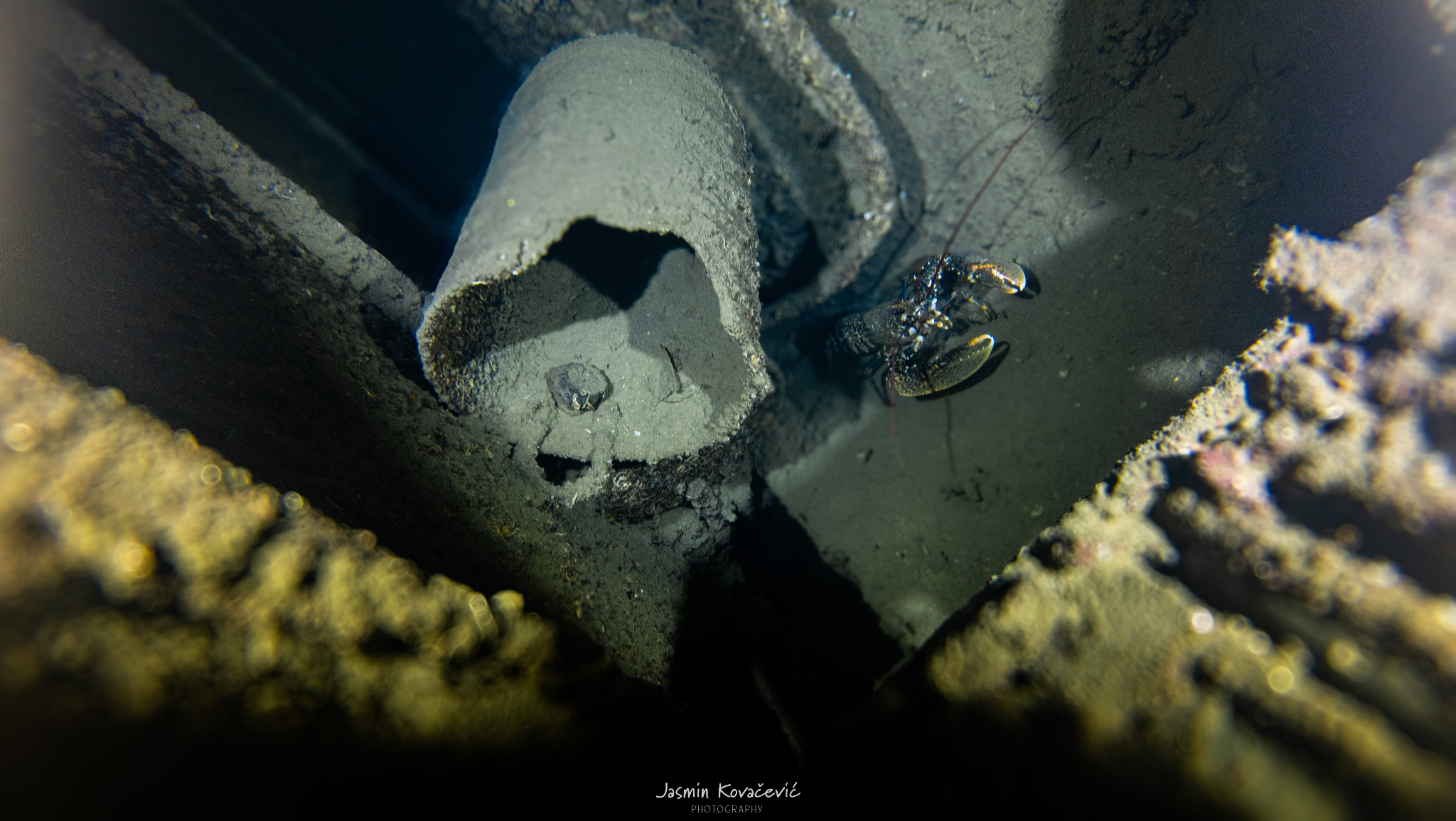 DJI 20250620110942 0123 D 001