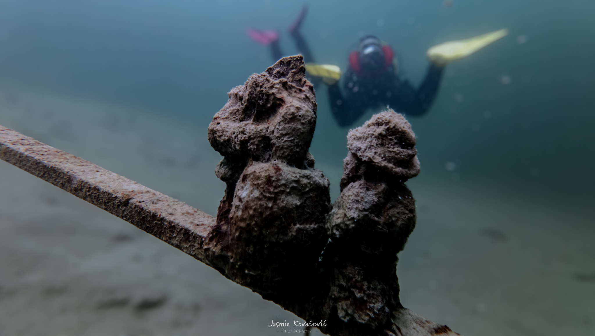 DJI 20250524113839 0145 D 002