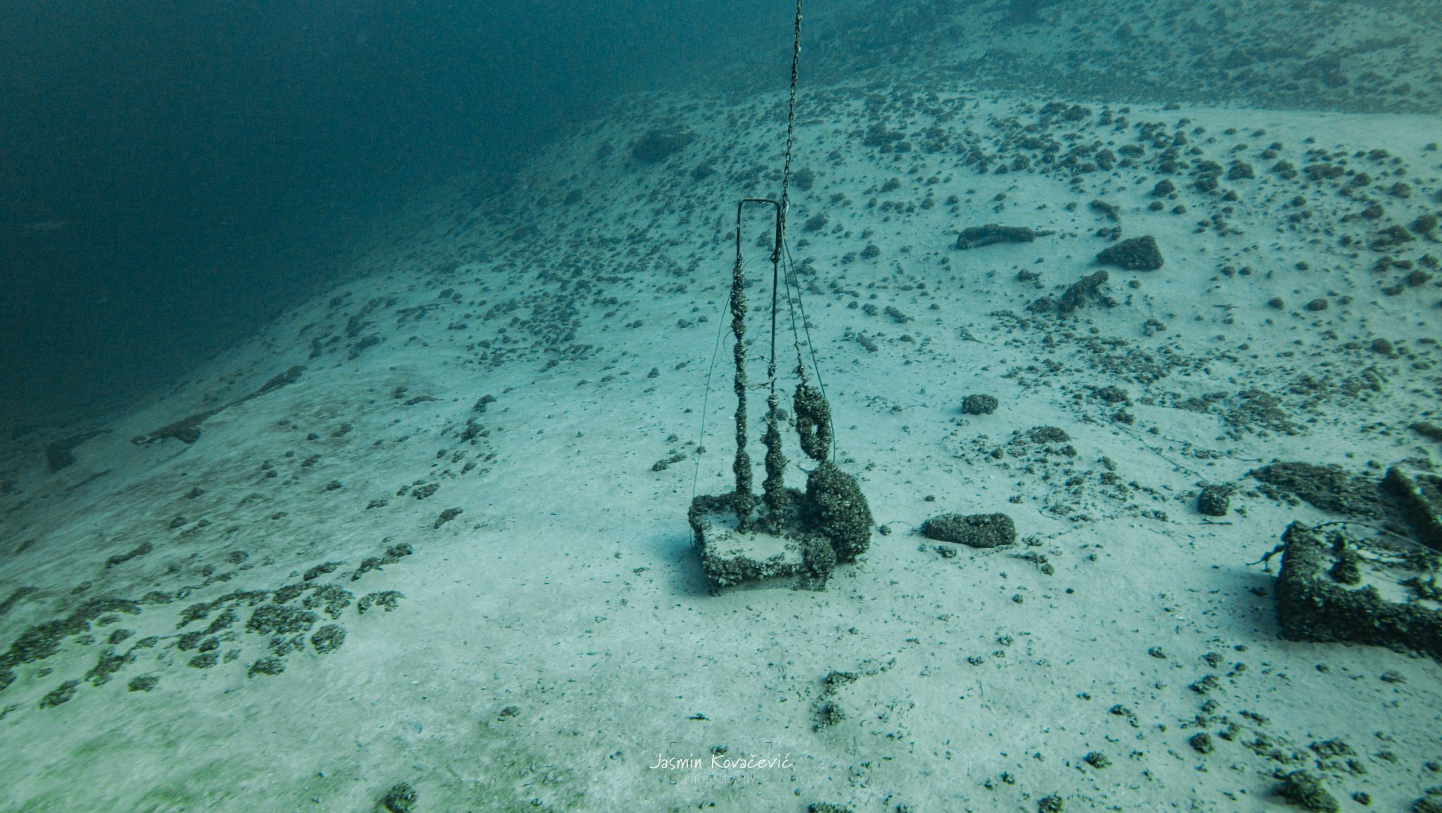 DJI 20250208130539 0015 D 002