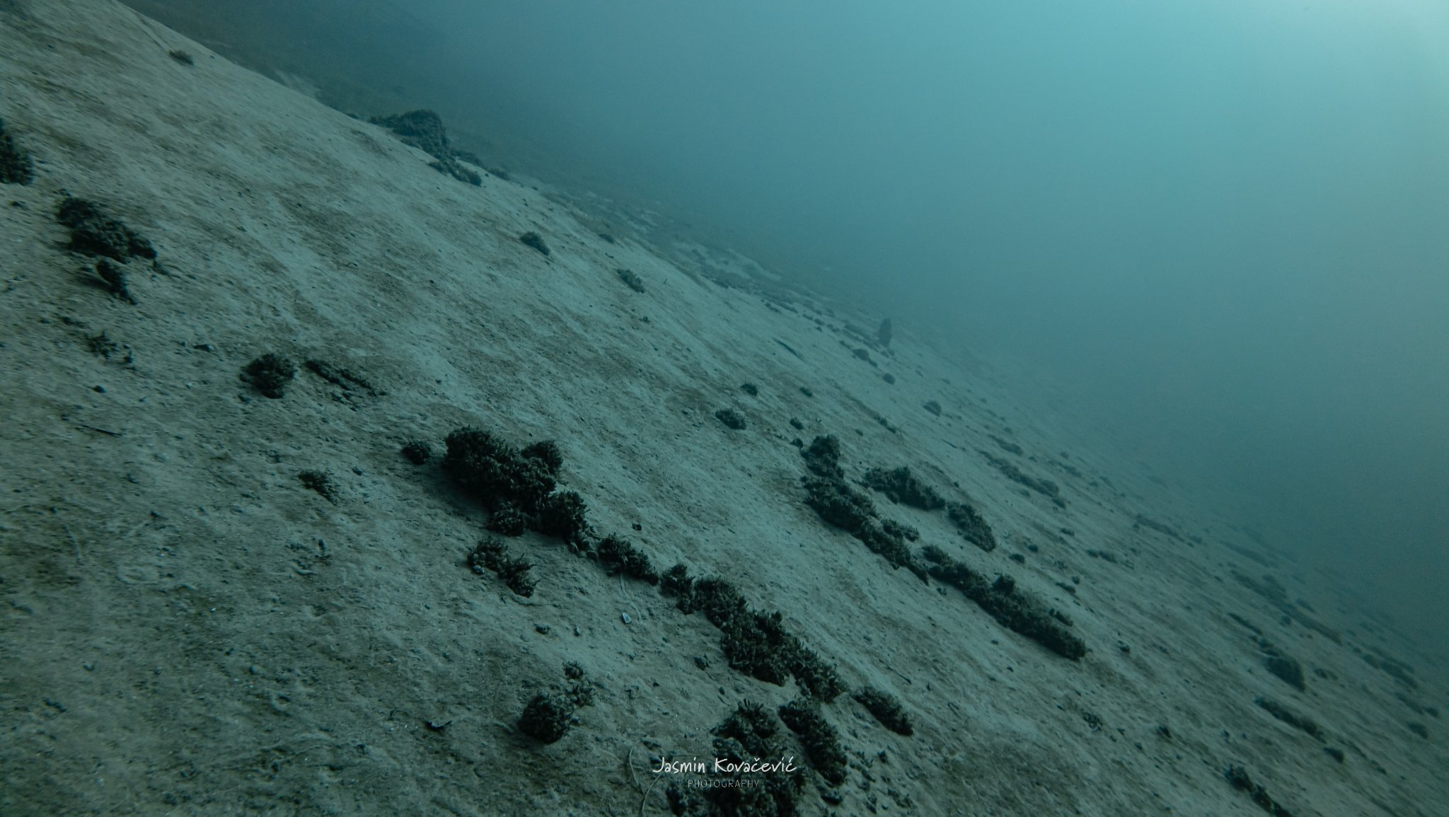 DJI 20250208132035 0048 D 001