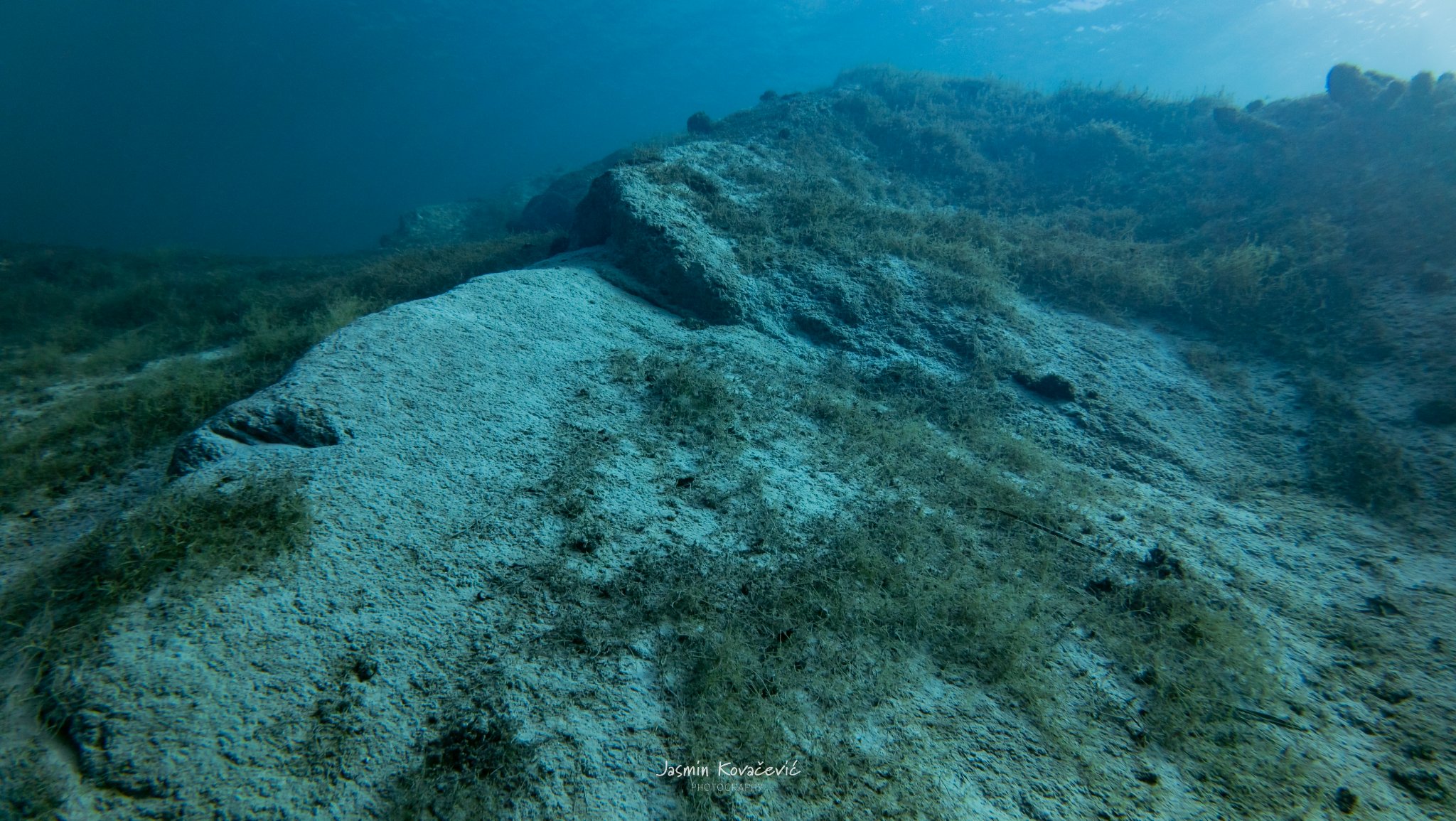 DJI 20250208132609 0058 D 001