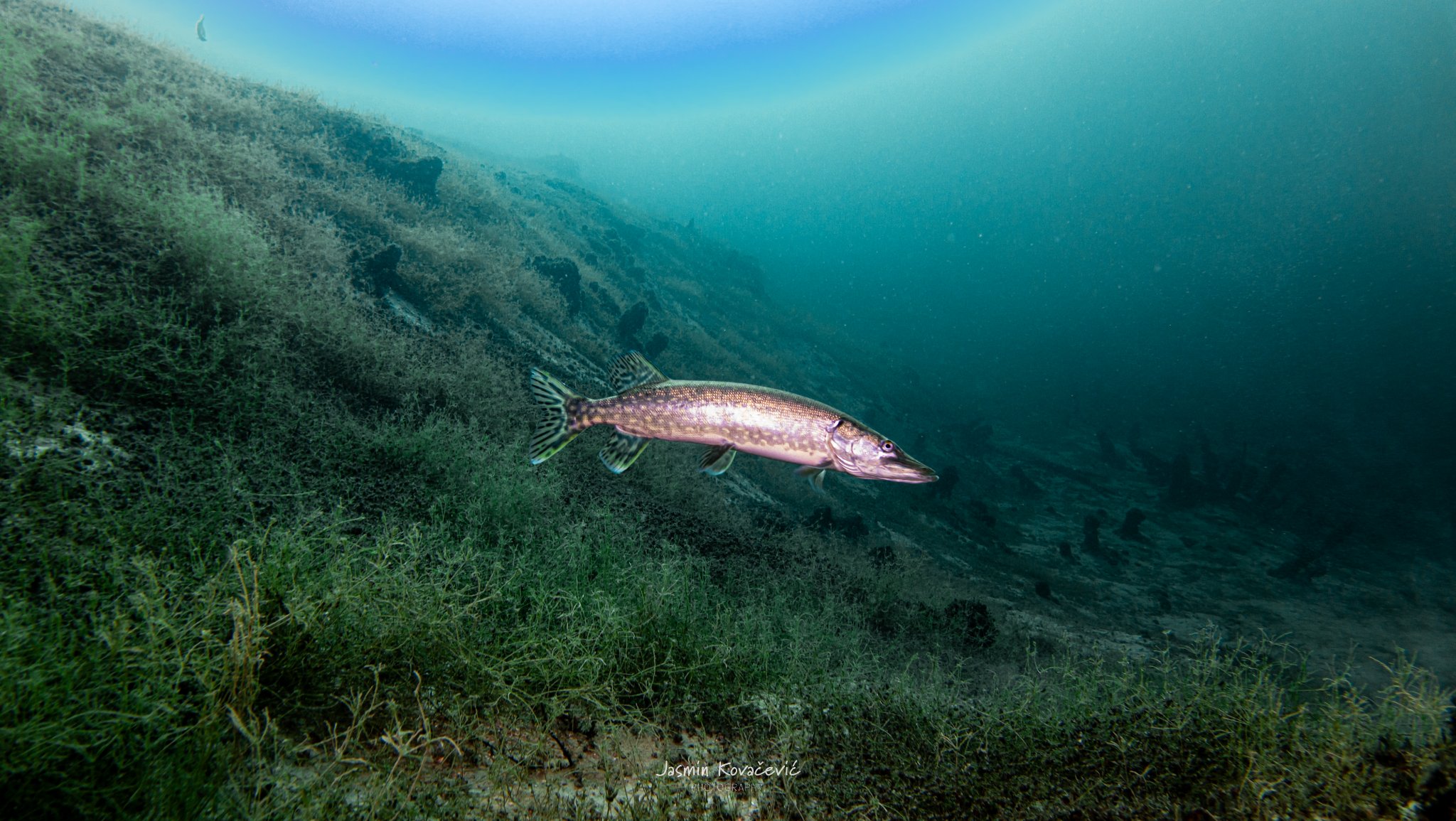 DJI 20250208134909 0093 D 002