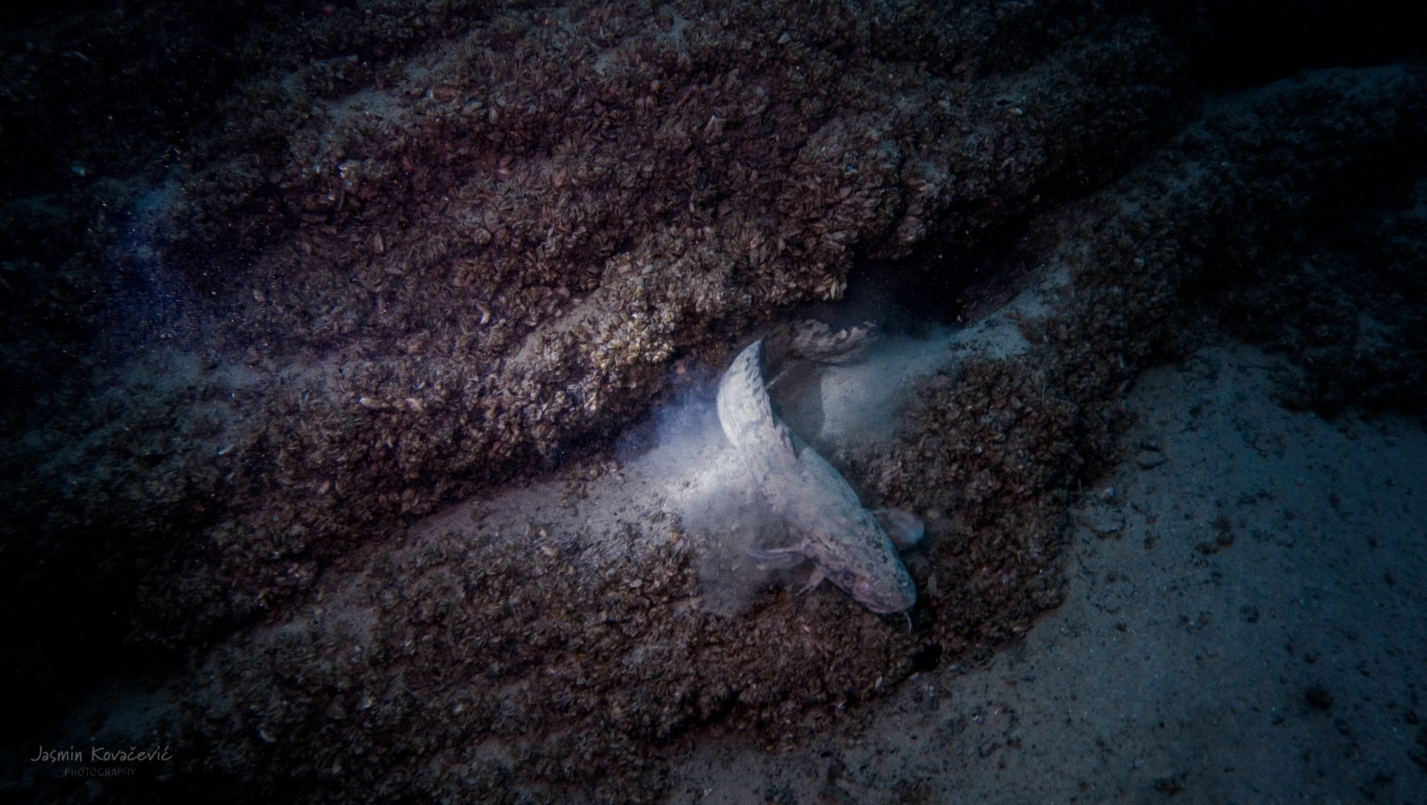 DJI 20241214131446 0120 D 001