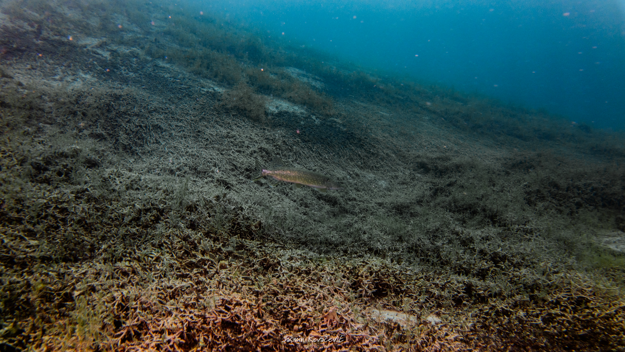 DJI 20250517115959 0093 D 002