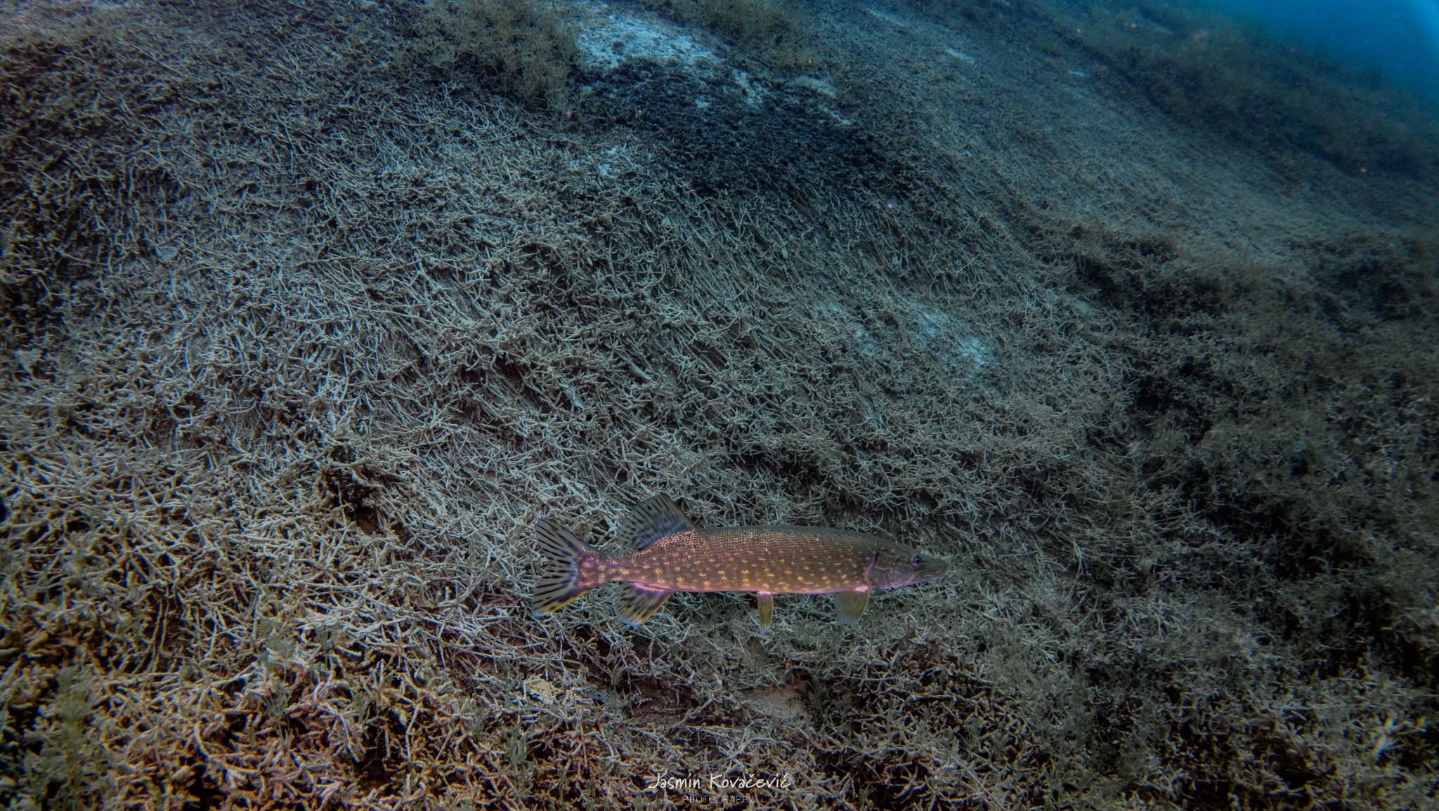 DJI 20250517120007 0094 D 002