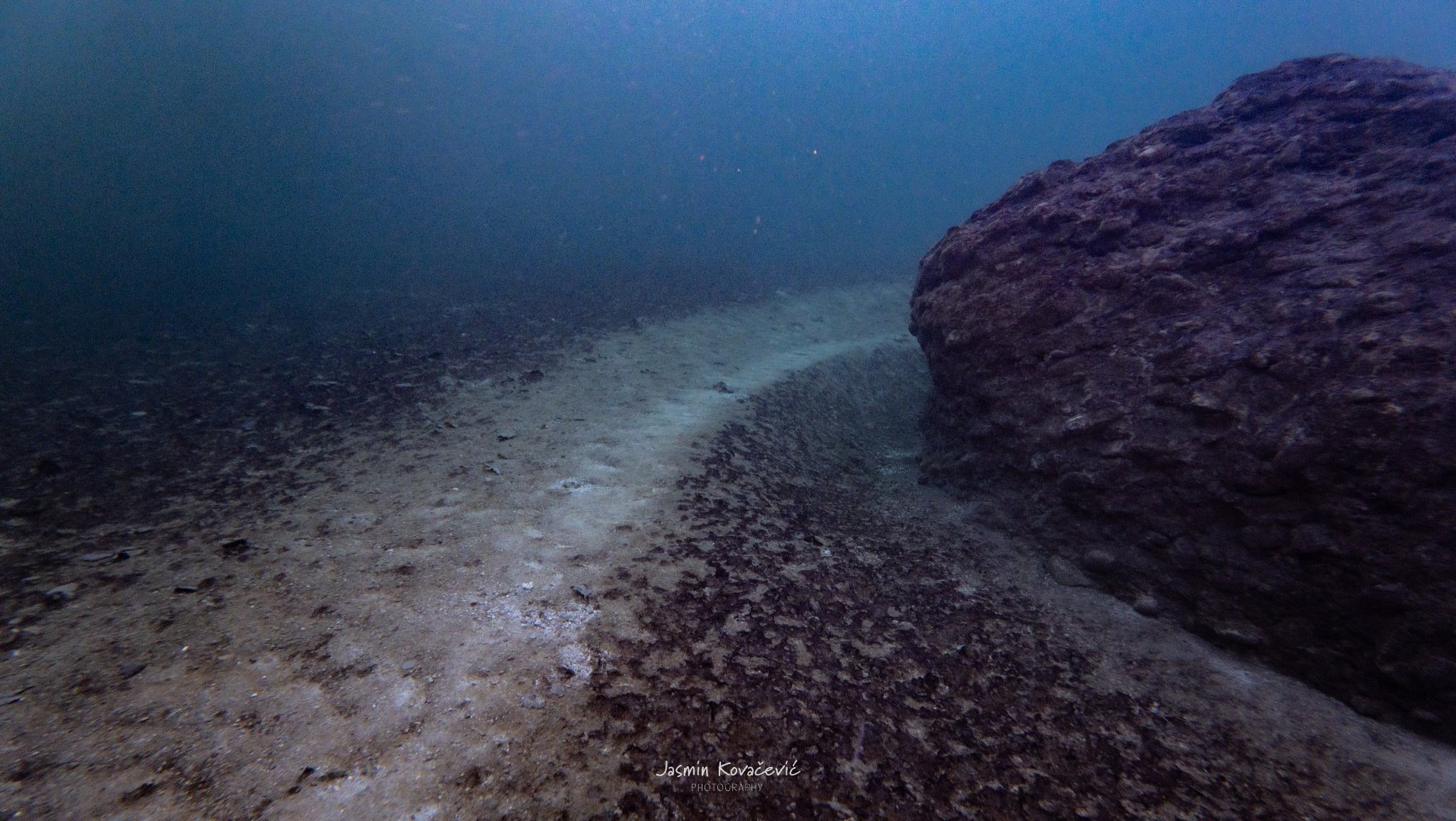 DJI 20241228131514 0274 D 002