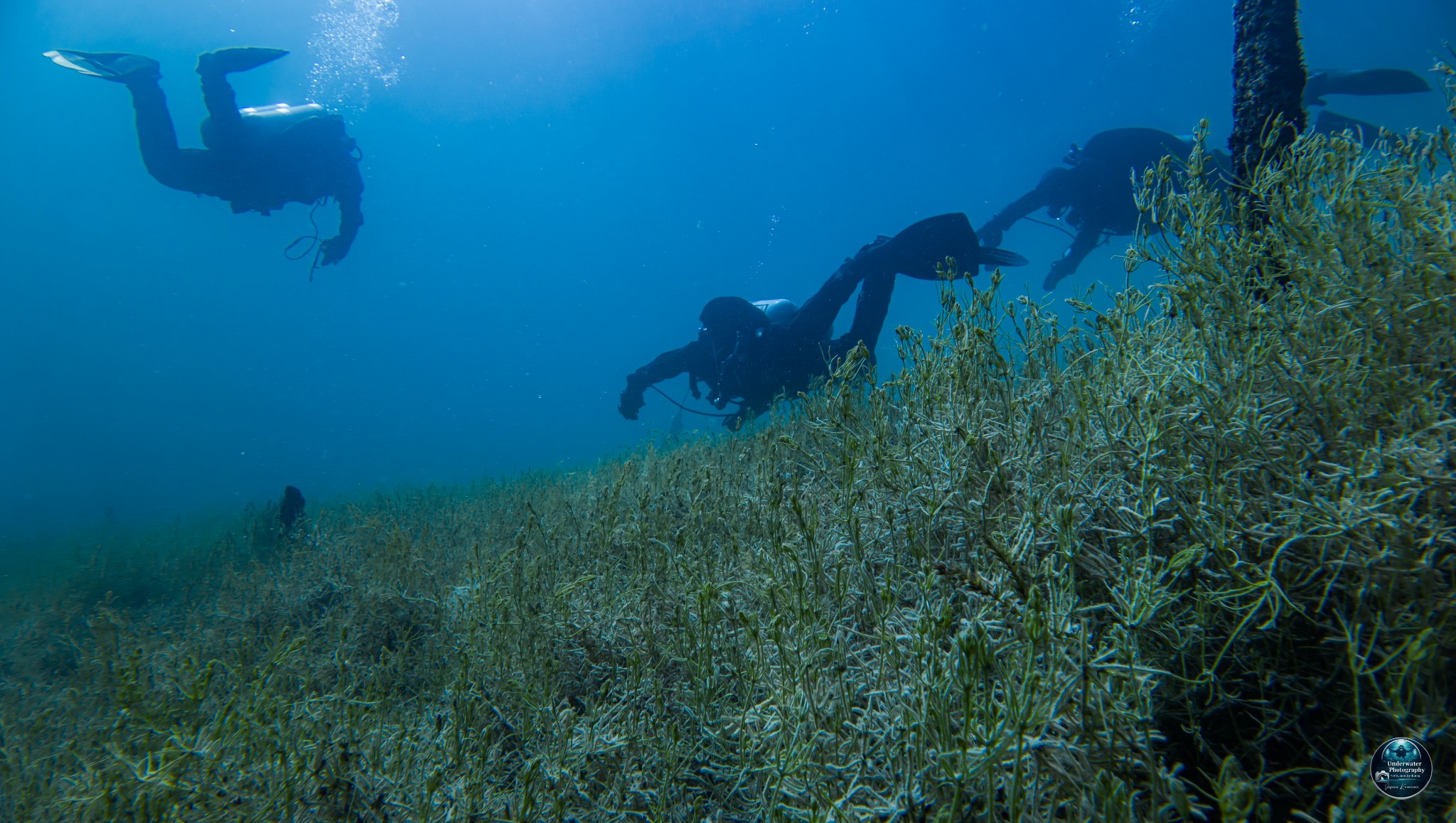 DJI 20260427122126 0127 D 002