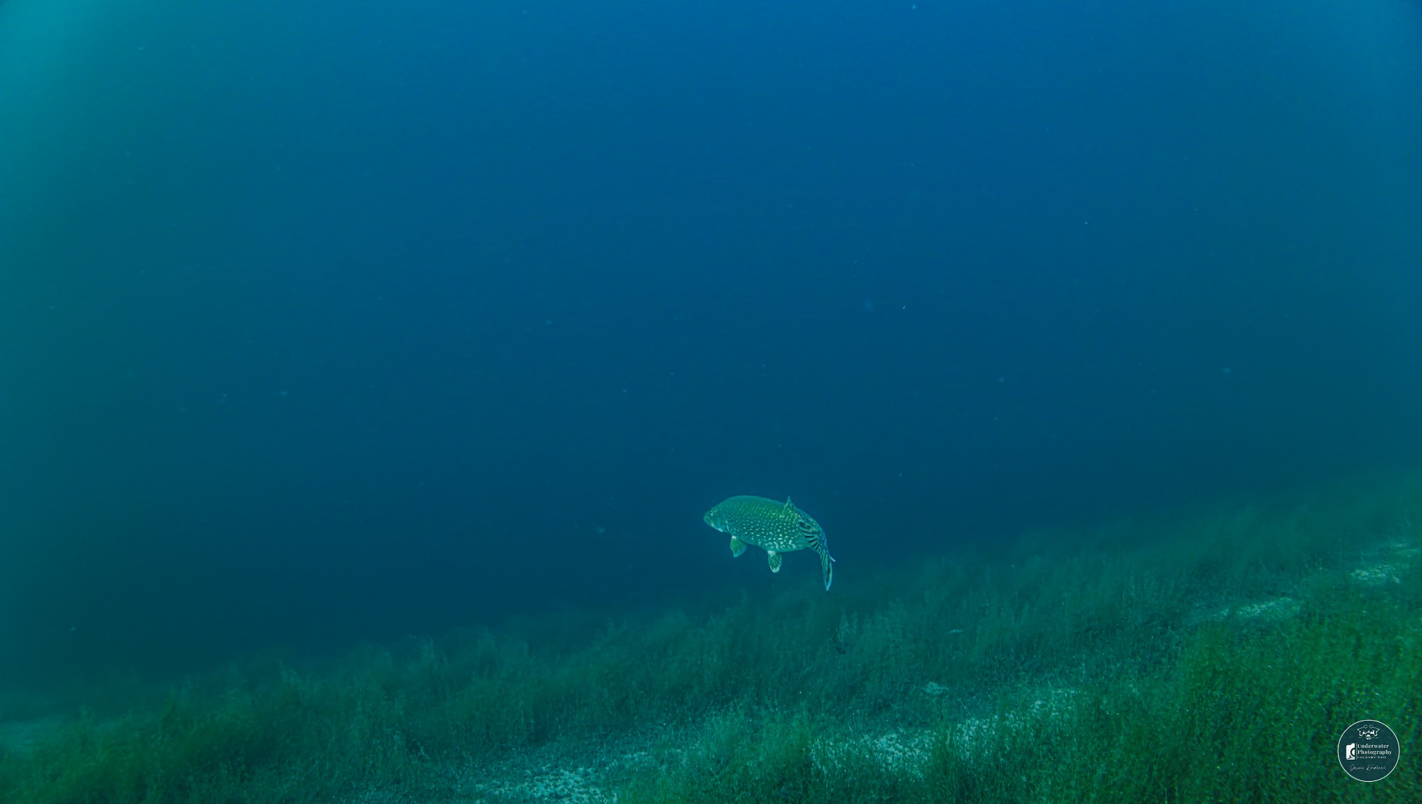 DJI 20251228122748 0046 D JUS1