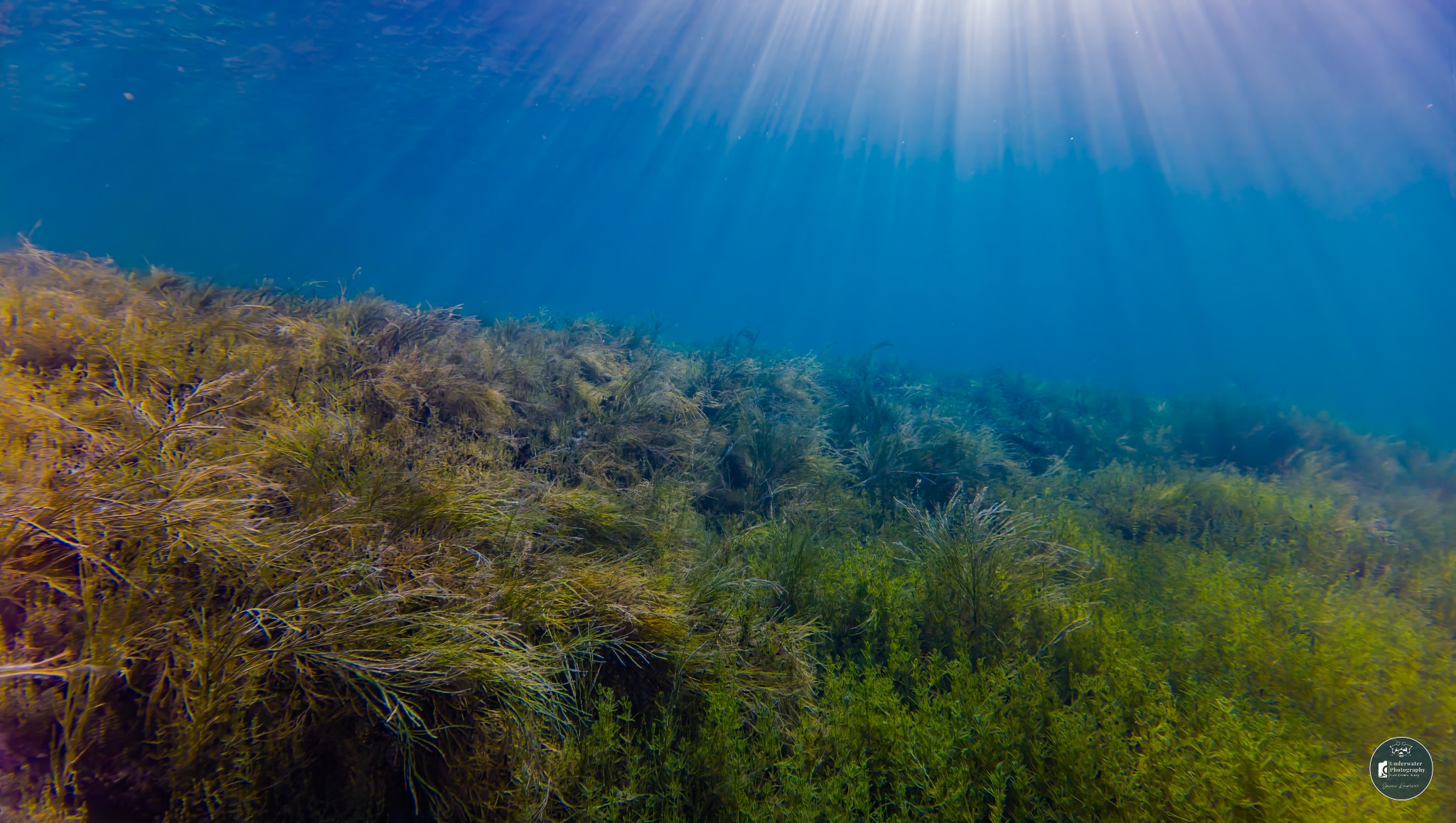 DJI 20251228123530 0055 D JUS1